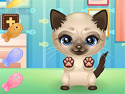 Adopt your pet kitty - Girls - DOLLMANIA.COM