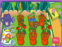 Dora's Magical Garden - Girls - Dollmania.com