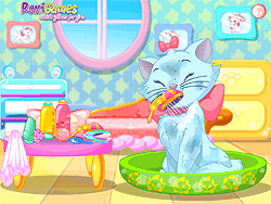 Kitty Princess Salon