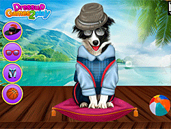 Pet Dogs Cool Makeover